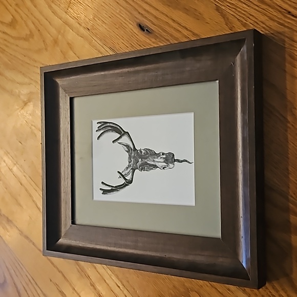 Other - 8x10 framed picture